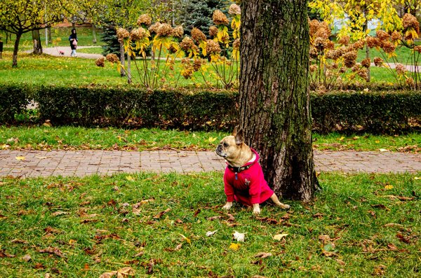 Comment sensibiliser les professionnels de santé aux questions de violence domestique ?