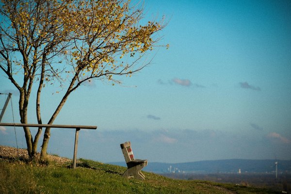 Comment le fait de passer du temps en nature peut-il favoriser notre santé mentale et physique ?
