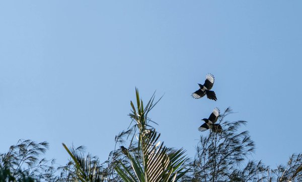 Comment les voyages peuvent-ils enrichir votre santé mentale et quelles destinations sont idéales pour se ressourcer ?